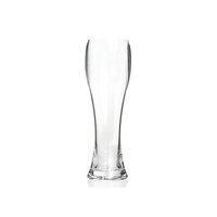 Everclear Tritan Beer Glass - 502 ml image